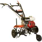 ece80